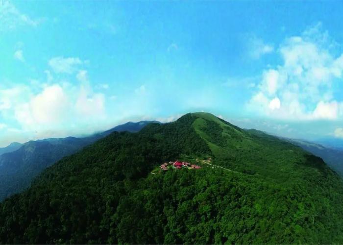 Wild Planet Resort