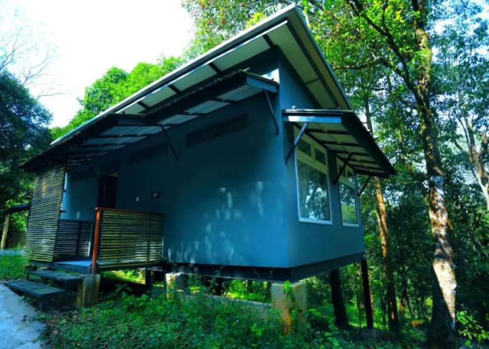 Wayanad Wild Rainforest lodge by CGH Earth