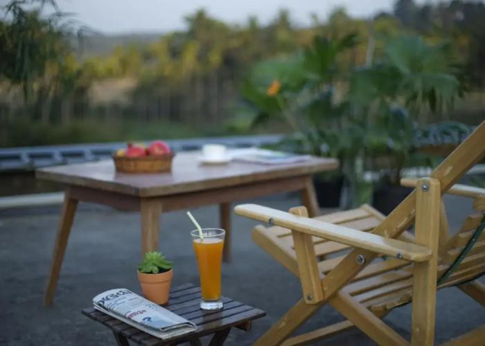 The Paddy Field Inn - Hostel