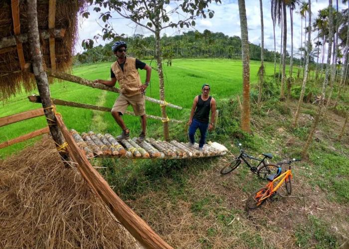 The Paddy Field Inn - Hostel
