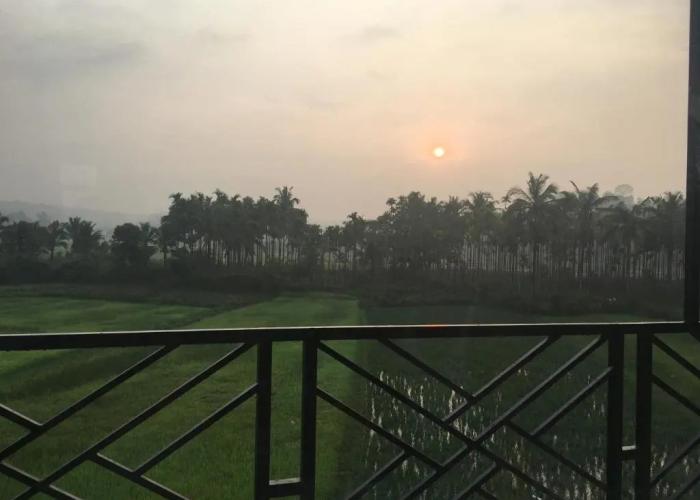 The Paddy Field Inn - Hostel