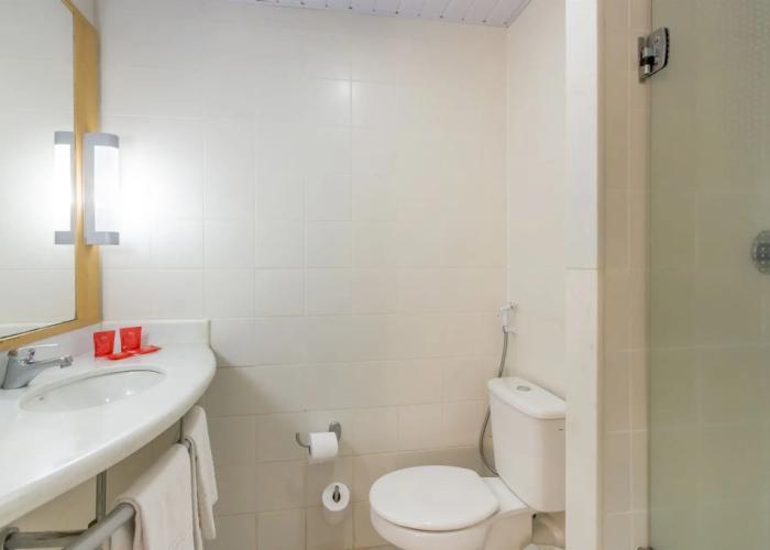 Ibis Barretos