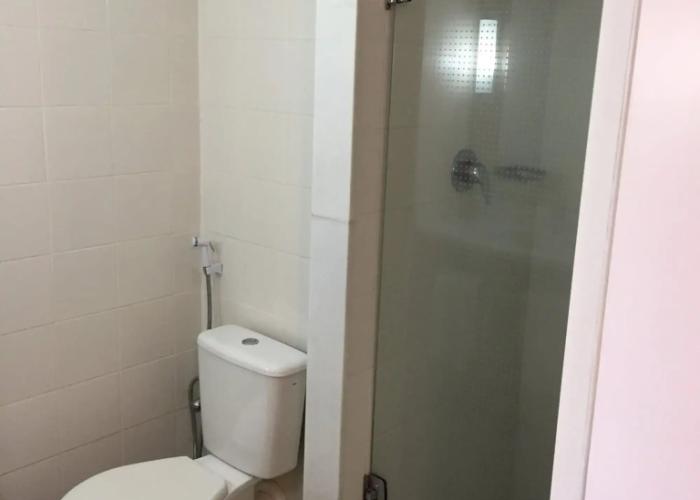 Ibis Barretos