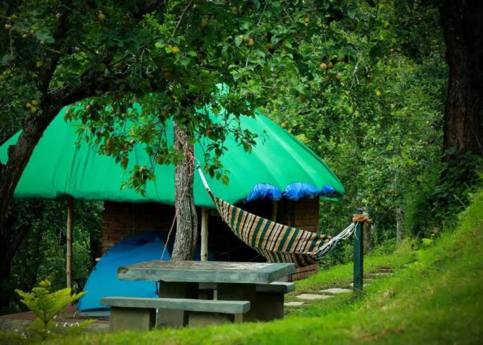 The Pear County
