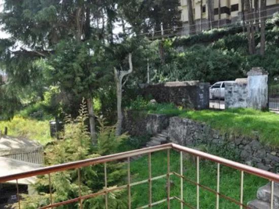 Hill Heaven Homestay