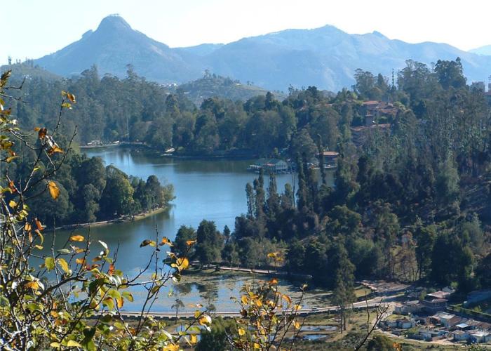 Hill Heaven Homestay
