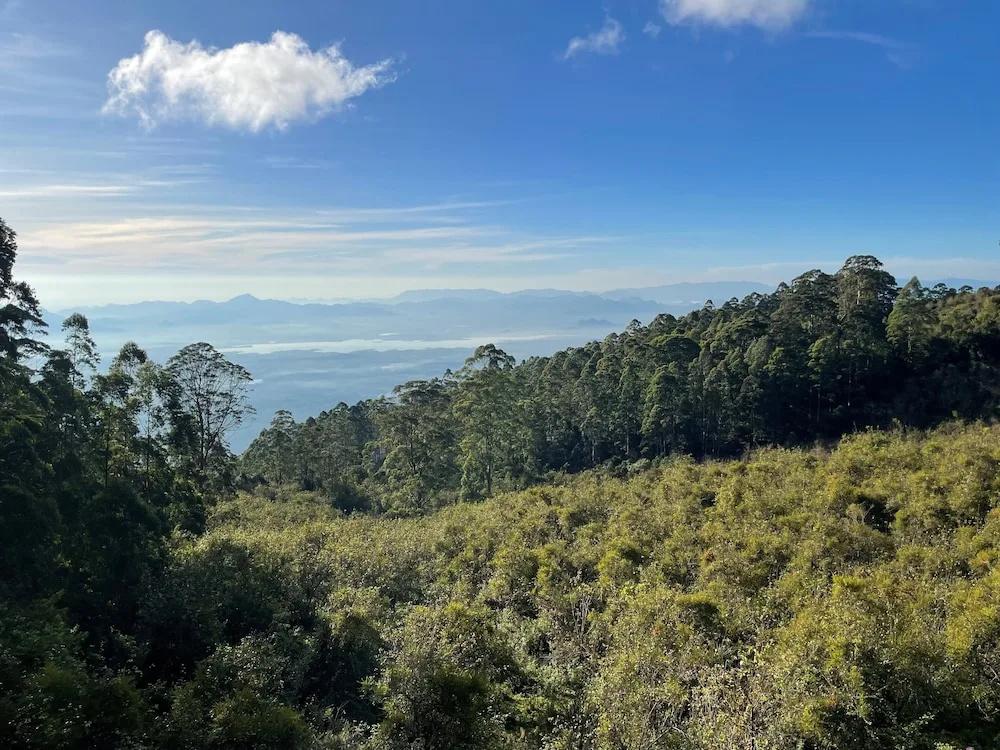 фото Dolphin Nose Retreat