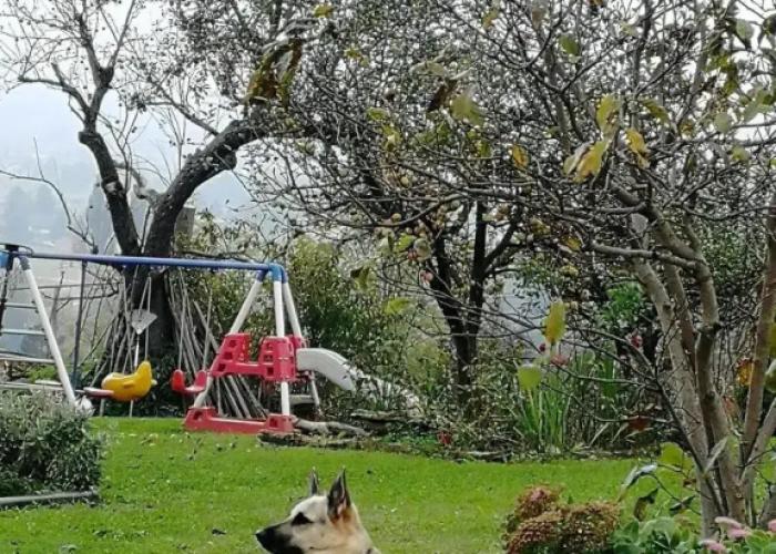 Panorama B&B