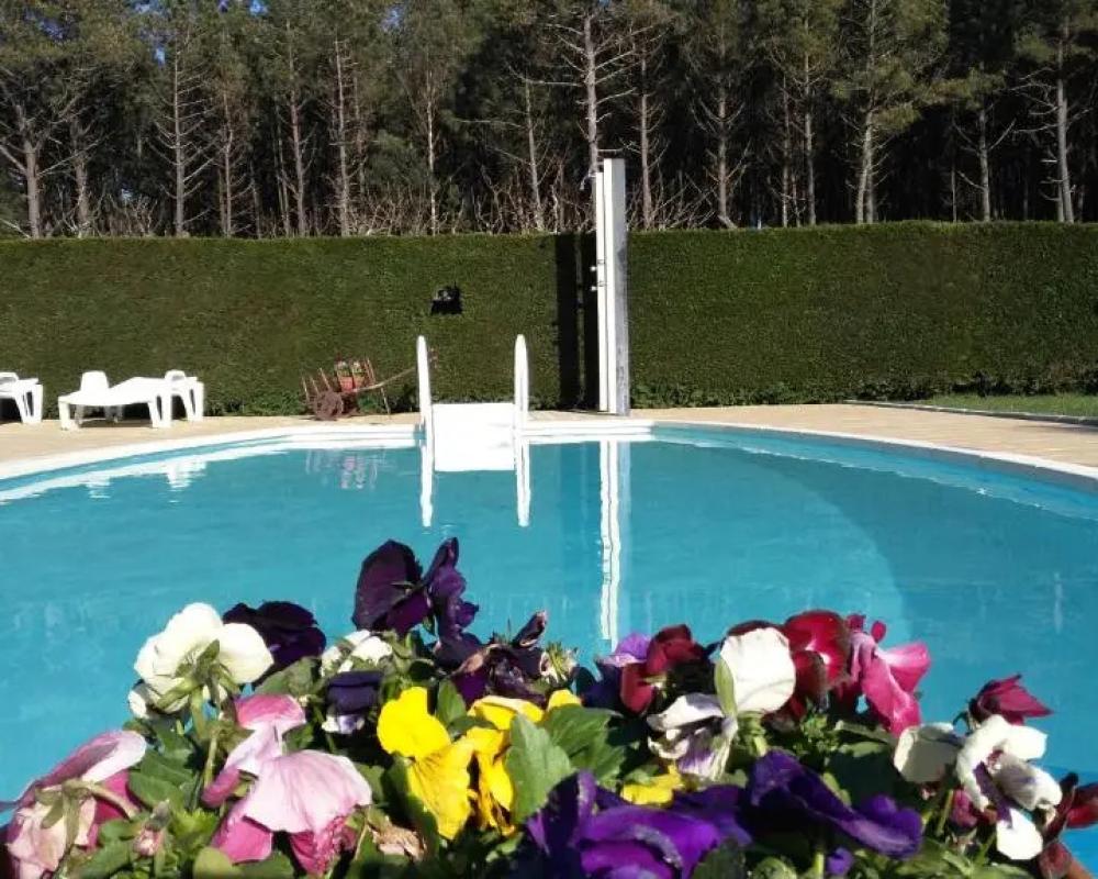 фото Cabanas da Ria