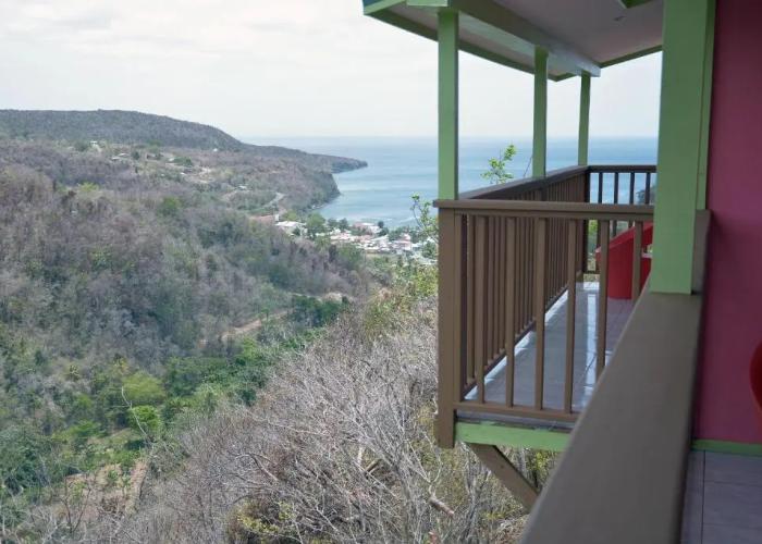 Tropical Paradise View