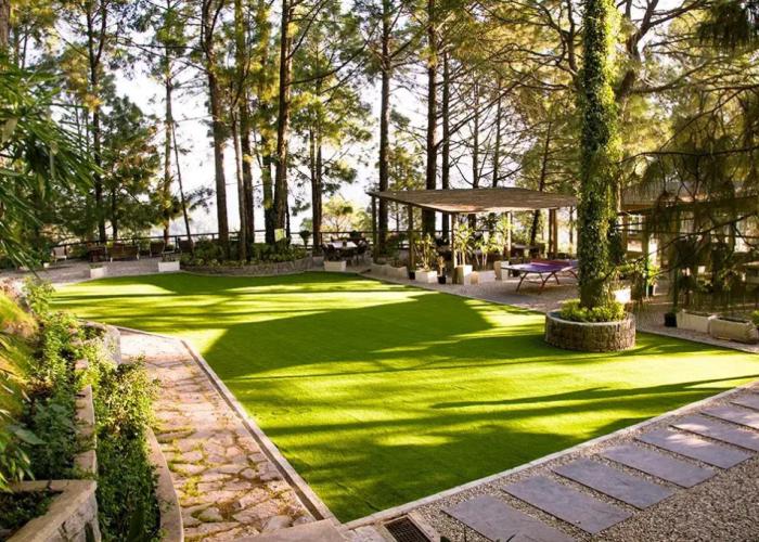 Kasauli Hills Resort