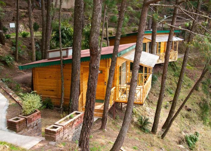 Kasauli Hills Resort