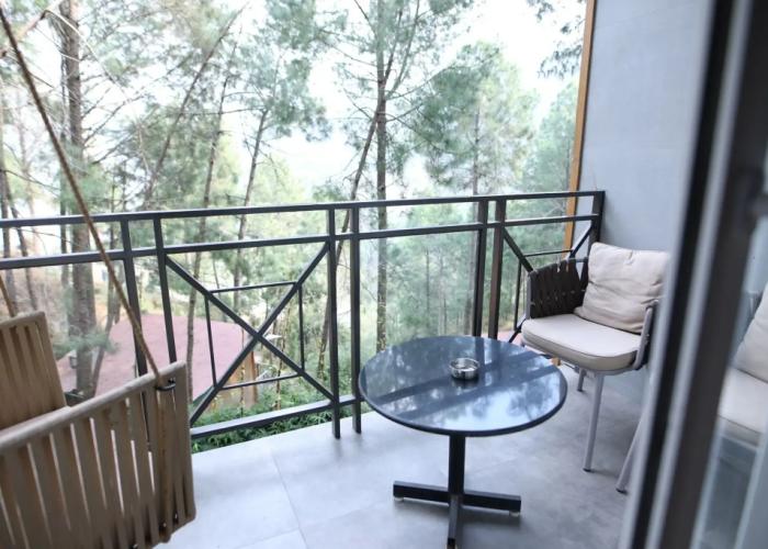 Kasauli Hills Resort