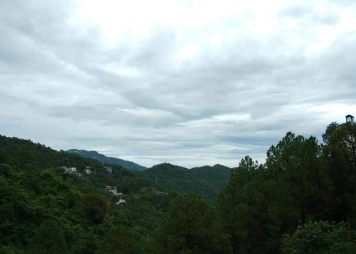 ARNISA Kasauli - A Boutique Hotel