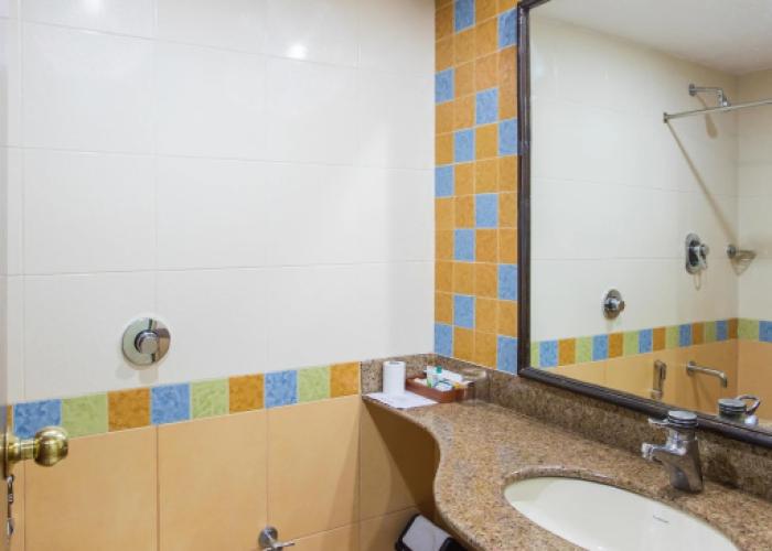 Hotel Coorg International