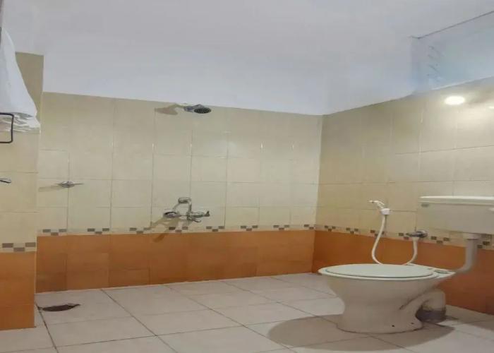 OYO 13581 Hotel Raj