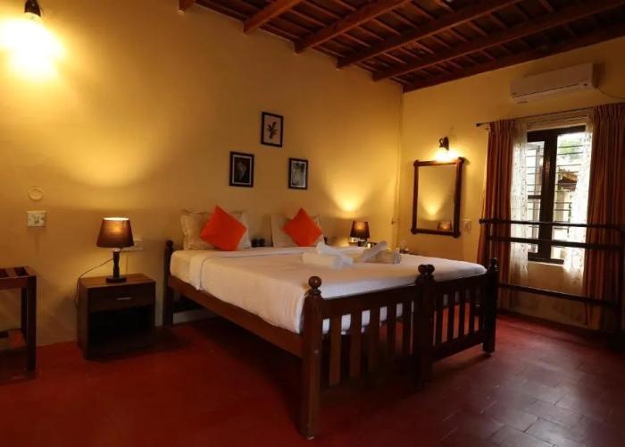 Avadale Coorg Stag - Groups Not Allowed