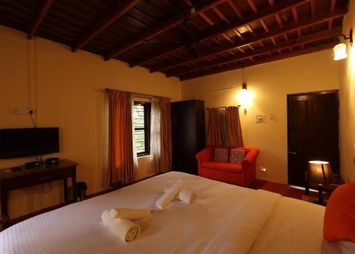 Avadale Coorg Stag - Groups Not Allowed