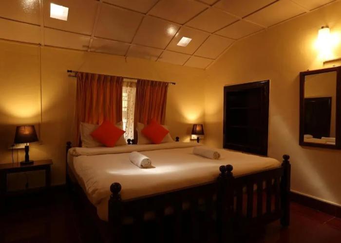 Avadale Coorg Stag - Groups Not Allowed