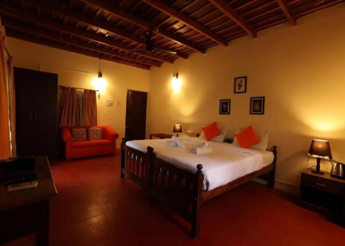 Avadale Coorg Stag - Groups Not Allowed