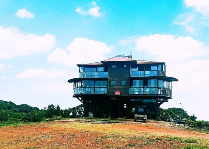 Coorg Tree House