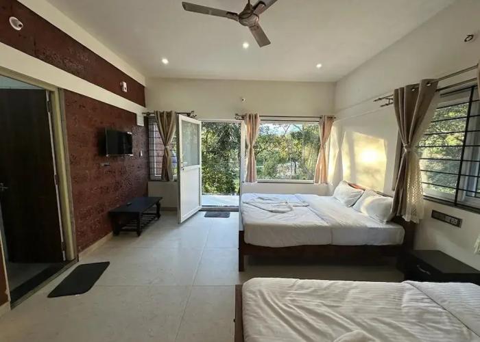 Coorg Jungle Mist