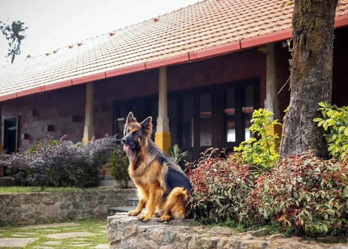 Amã Stays & Trails Alpenhof , Coorg