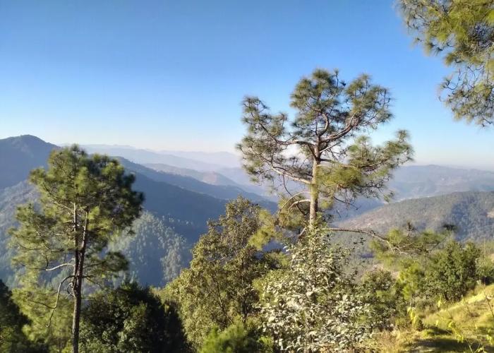 Binsar View Homestay