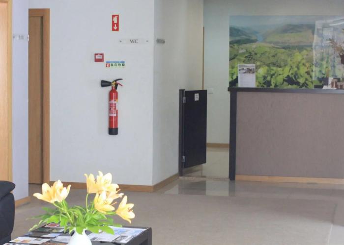 Hotel Folgosa Douro