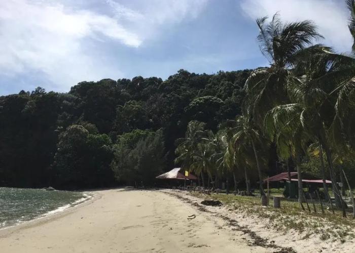 Wild Pasir Panjang Villas