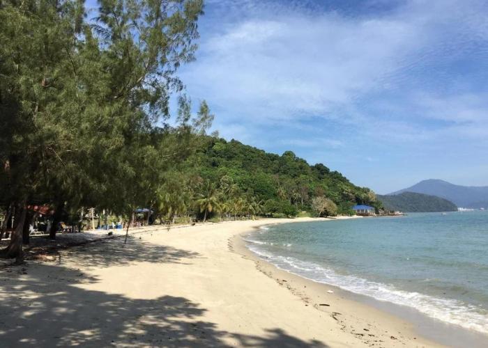 Wild Pasir Panjang Villas