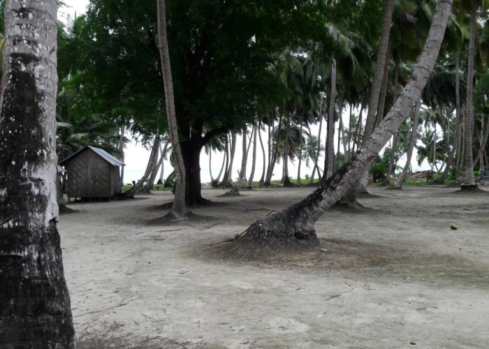 Sunrise Beach Resort
