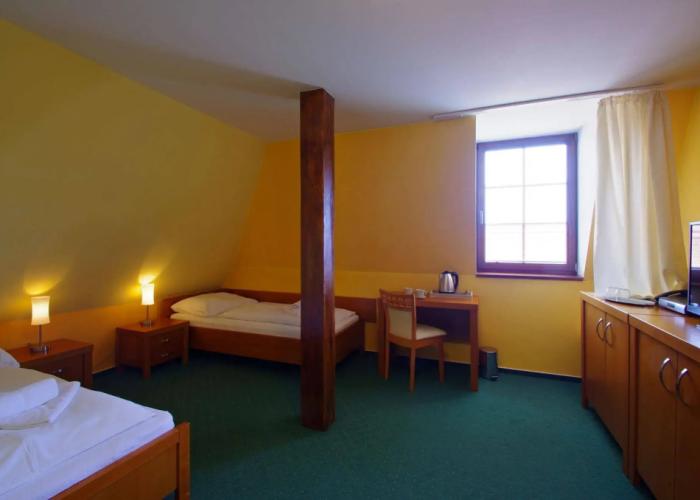Hotel U Leva