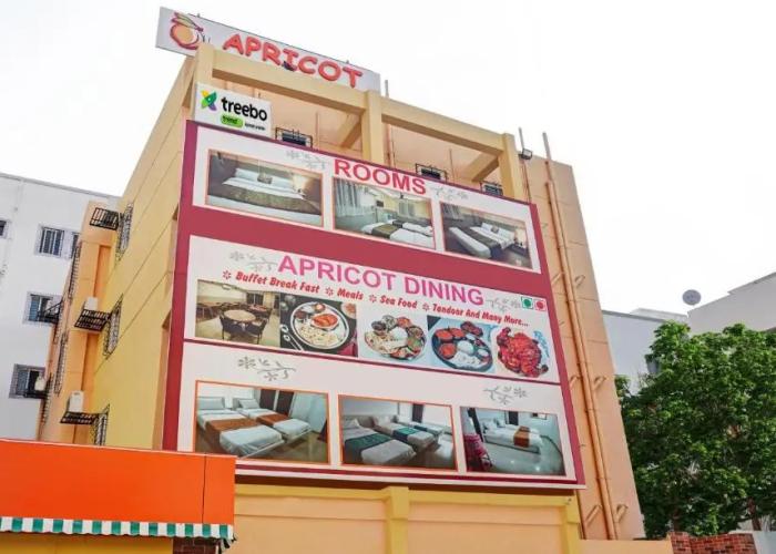 Treebo Empire Executive Premium, Hinjewadi