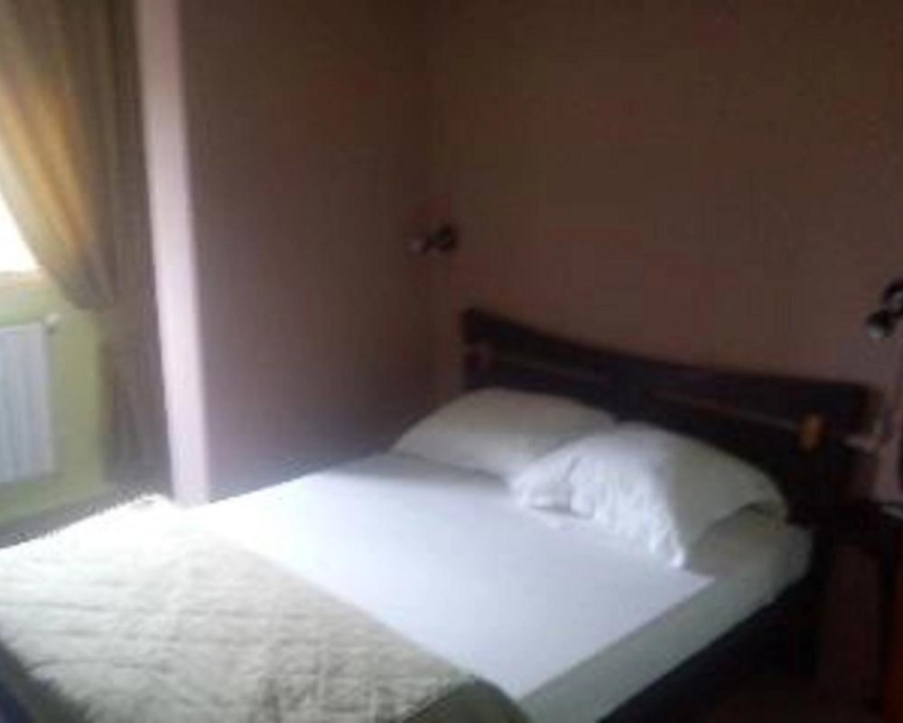 фото Hotel Roza