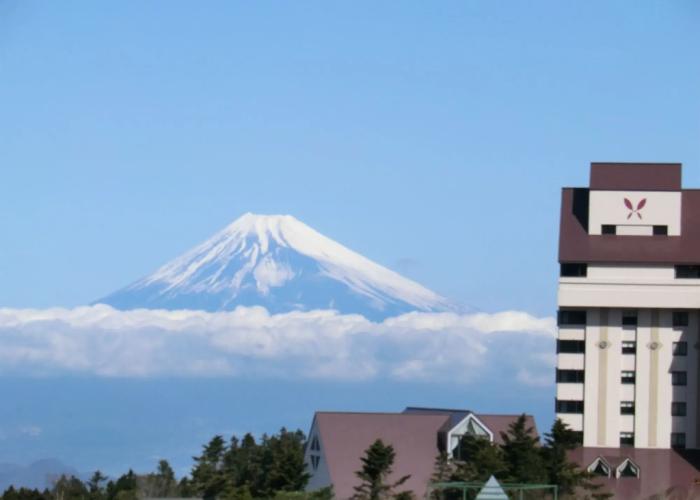 Hotel Harvest Amagikogen
