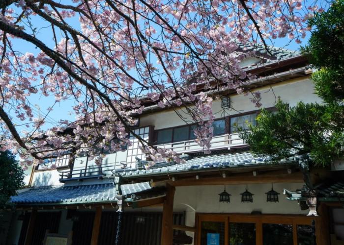 Guesthouse sakahijiri・gyokushoen