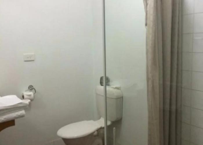 Jurien Bay Hotel
