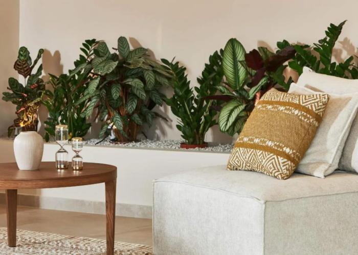 Vasia Sea Retreat