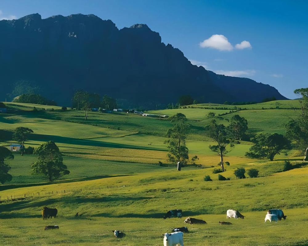 Kentish Hills Retreat