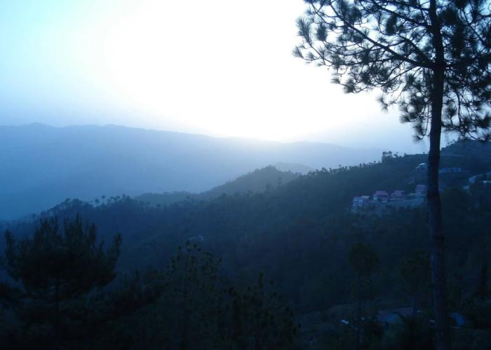 Woodsvilla Residency Ranikhet