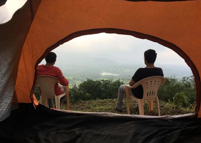Canary Forest Camping