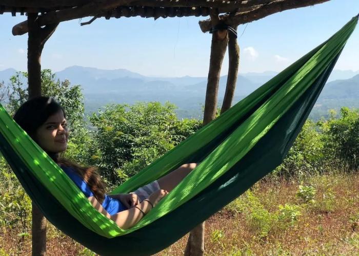 Canary Forest Camping