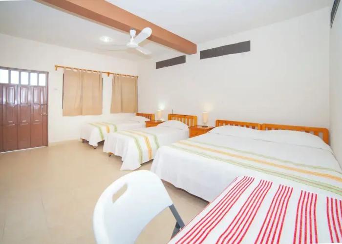 Hotel Casa Rush