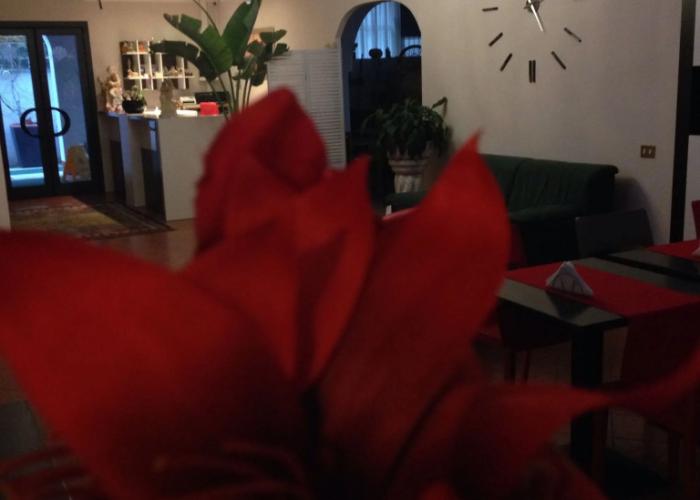 Hotel La Rosetta