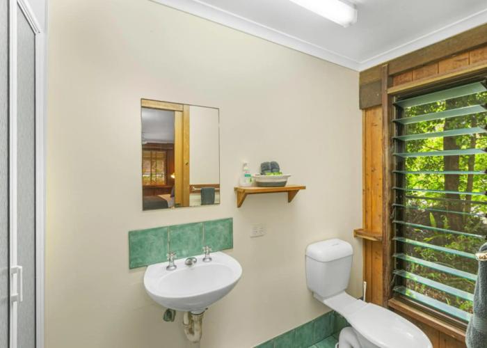 Atherton Blue Gum