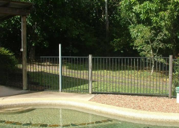 Atherton Blue Gum