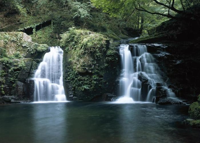 Guesthouse Saiounomiya