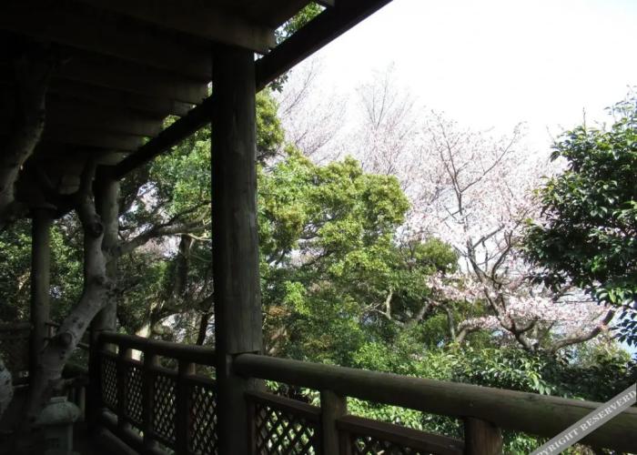 Chidori-An <Awajishima>