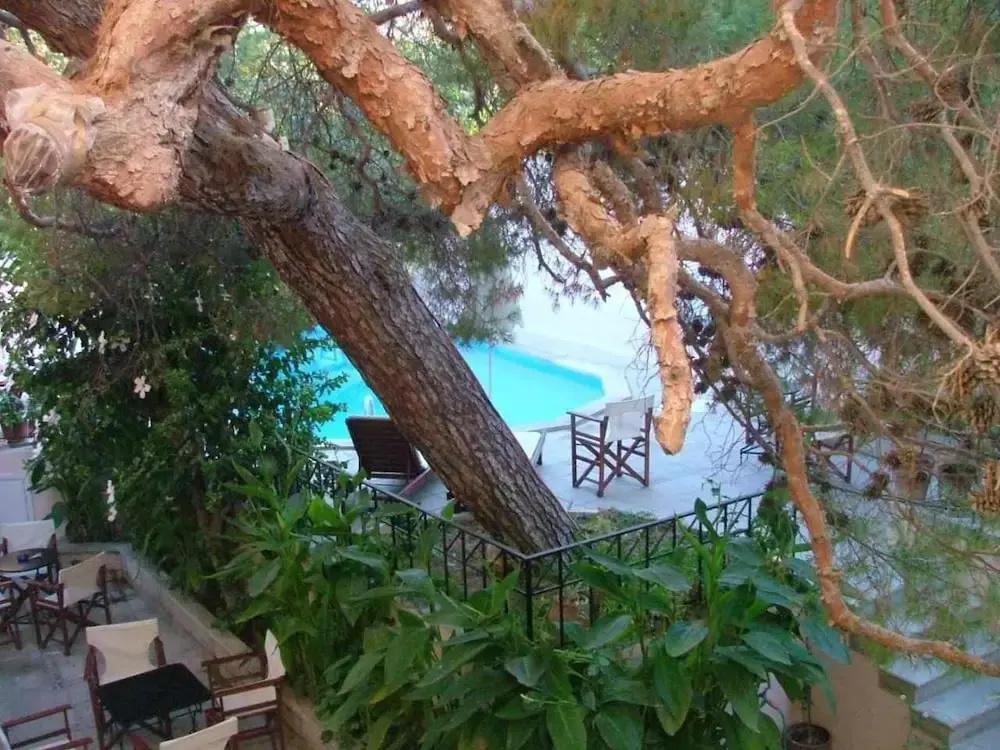 фото Villa Kynthia